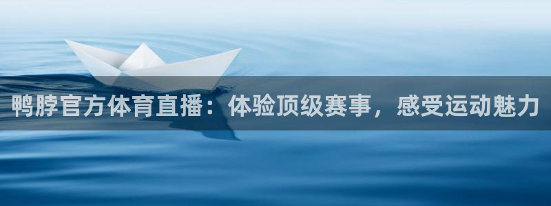 鸭脖官方体育直播：体验顶级赛事，感受运动魅力