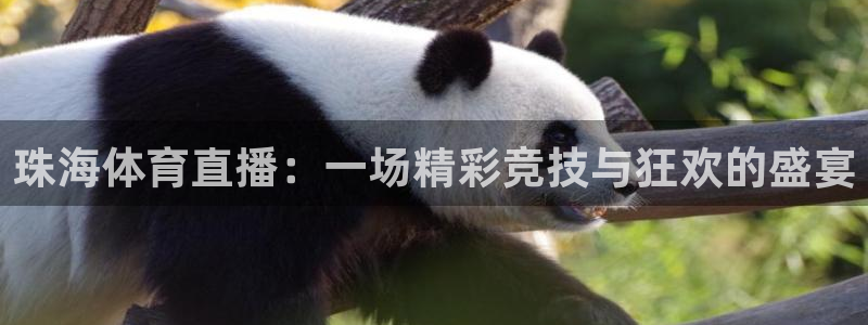 珠海体育直播：一场精彩竞技与狂欢的盛宴