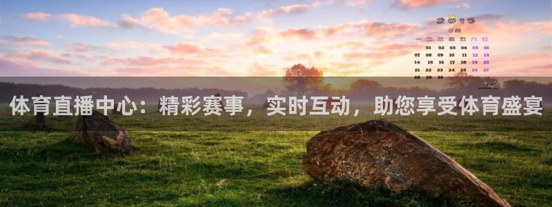 体育直播中心：精彩赛事，实时互动，助您享受体育盛宴