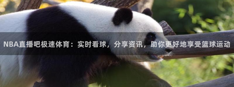 NBA直播吧极速体育：实时看球，分享资讯，助你更好地享受篮球运动