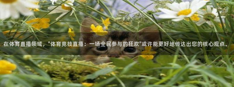 在体育直播领域，\
