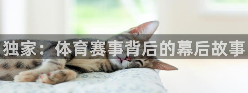 独家：体育赛事背后的幕后故事