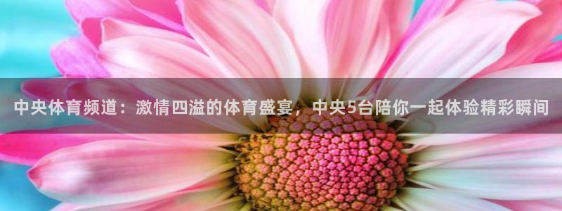中央体育频道：激情四溢的体育盛宴，中央5台陪你一起体验精彩瞬间