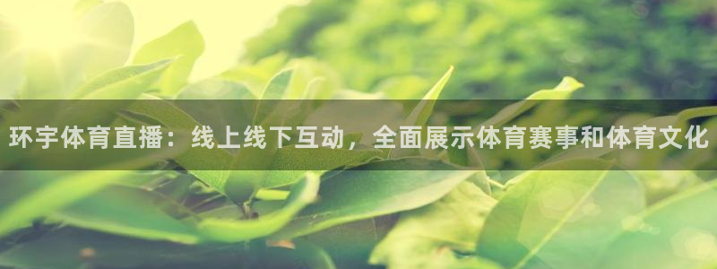 环宇体育直播：线上线下互动，全面展示体育赛事和体育文化