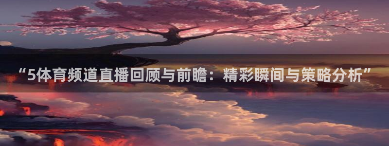 “5体育频道直播回顾与前瞻：精彩瞬间与策略分析”