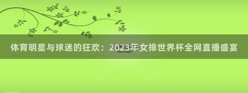 体育明星与球迷的狂欢：2023年女排世界杯全网直播盛宴