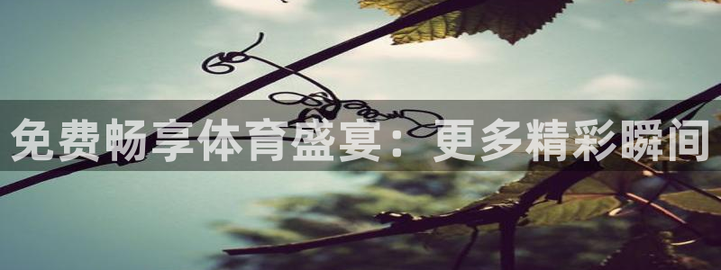 免费畅享体育盛宴：更多精彩瞬间