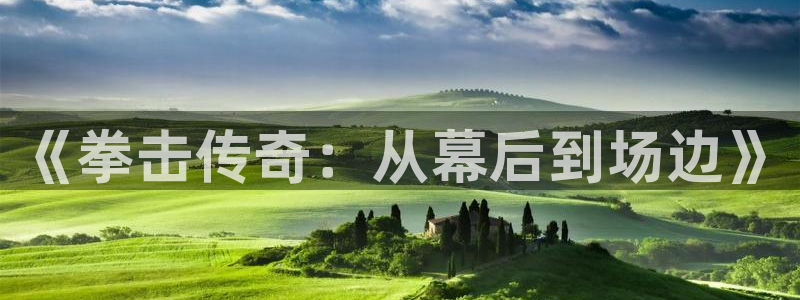 《拳击传奇：从幕后到场边》