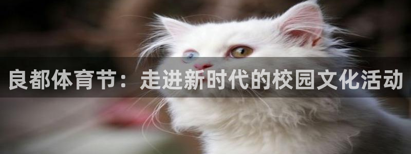 良都体育节：走进新时代的校园文化活动