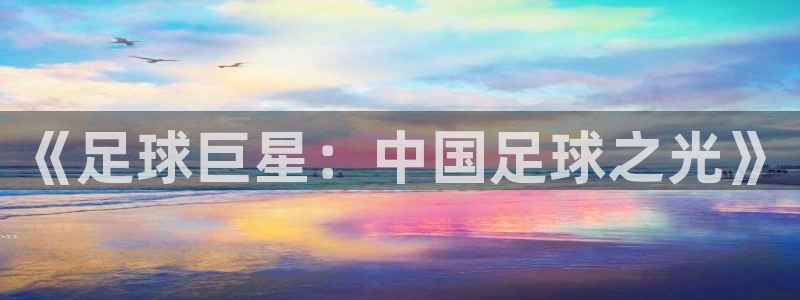 《足球巨星：中国足球之光》