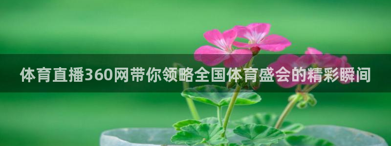 体育直播360网带你领略全国体育盛会的精彩瞬间