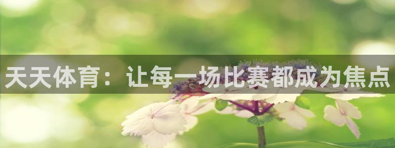 天天体育：让每一场比赛都成为焦点