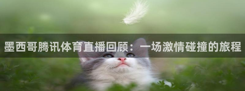 墨西哥腾讯体育直播回顾：一场激情碰撞的旅程