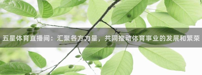 五星体育直播间：汇聚各方力量，共同推动体育事业的发展和繁荣