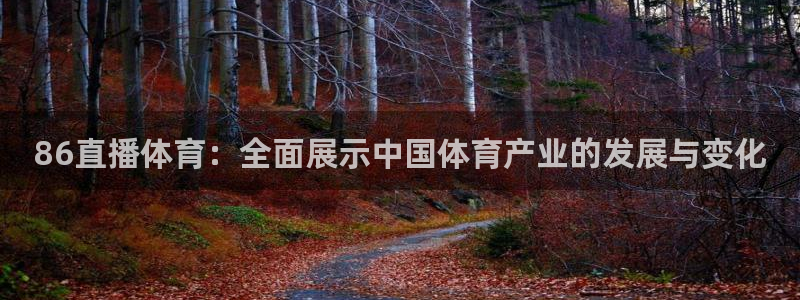 86直播体育：全面展示中国体育产业的发展与变化