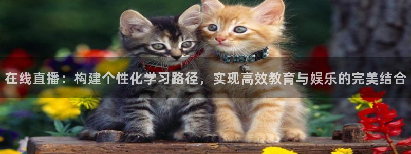 在线直播：构建个性化学习路径，实现高效教育与娱乐的完美结合