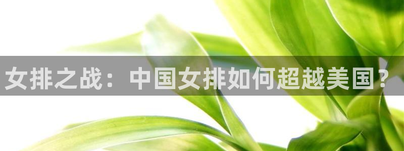 女排之战：中国女排如何超越美国？
