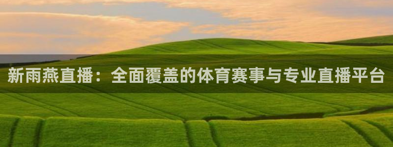 新雨燕直播：全面覆盖的体育赛事与专业直播平台