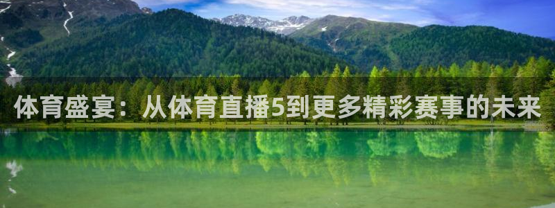 体育盛宴：从体育直播5到更多精彩赛事的未来
