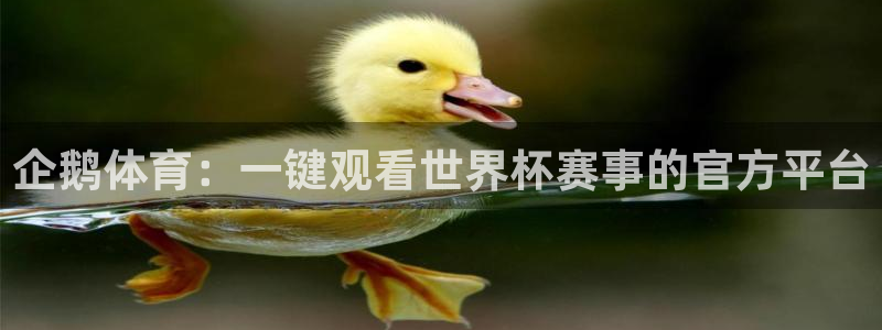 企鹅体育：一键观看世界杯赛事的官方平台